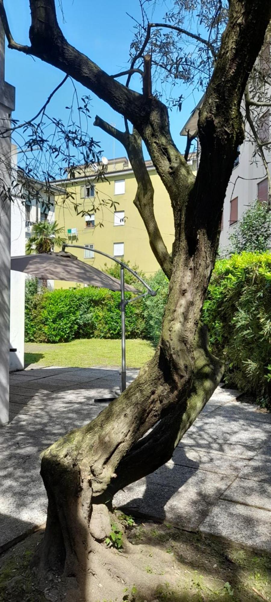 Villa Andrea Mestre Zewnętrze zdjęcie